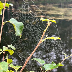 23-09-10 09-44-46 6586